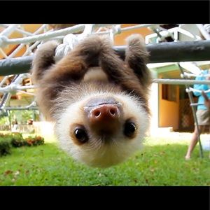 Meet your Posher, Amberlie